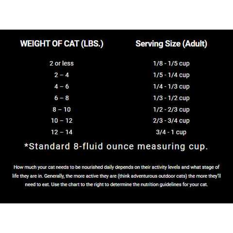 Salmon Chicken Dry Cat Food B8695