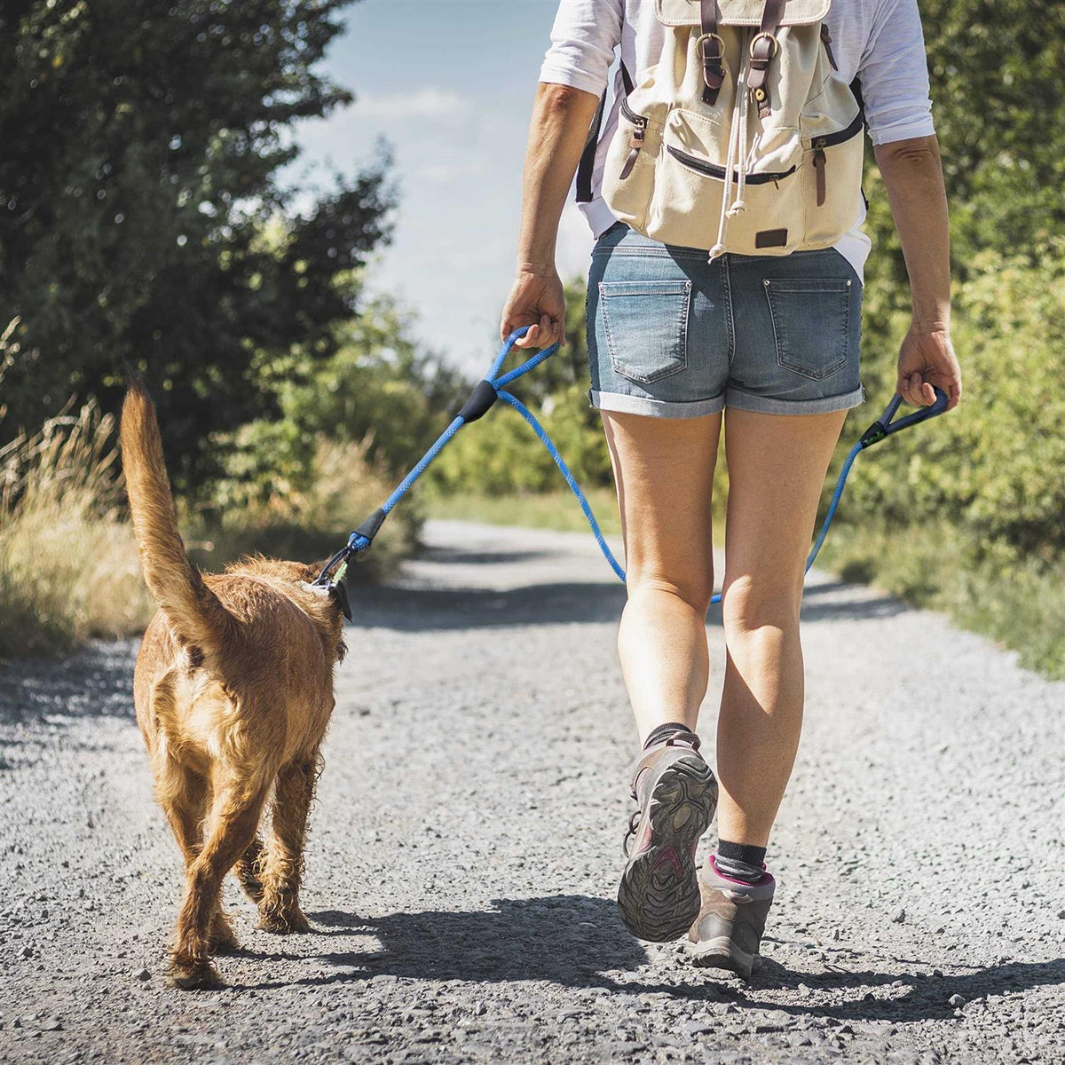 Dog Rope Leash M29954