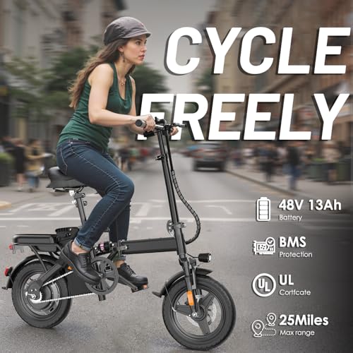E Bike Electric Bike 500W Motor, Folding Ebike 14" 48V 10Ah Removable Battery D8102