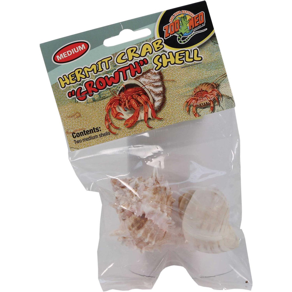 Hermit Crab Growth Shell U8958