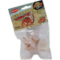 Hermit Crab Growth Shell U8958
