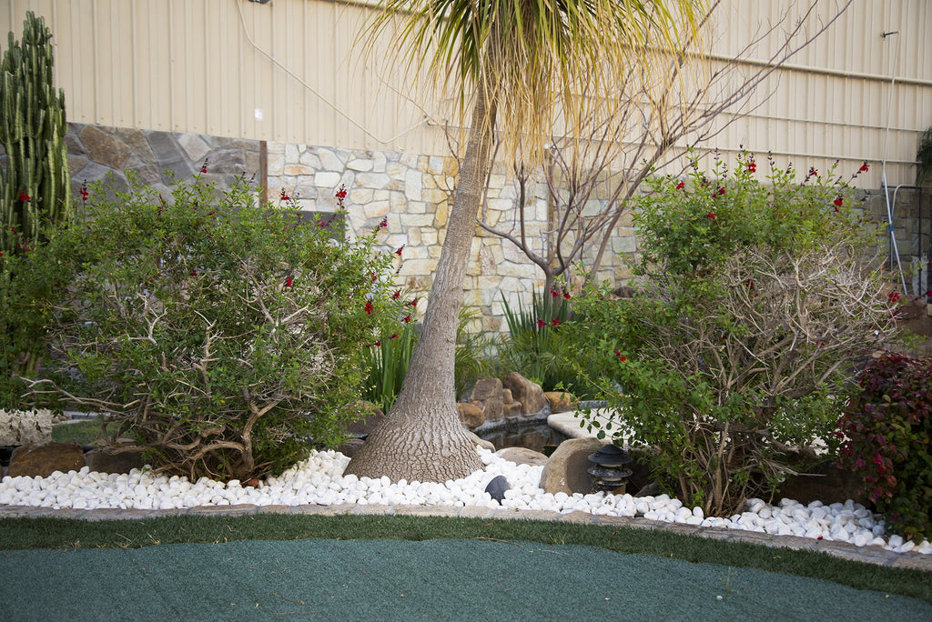 White Marble Bagged Pebbles P748