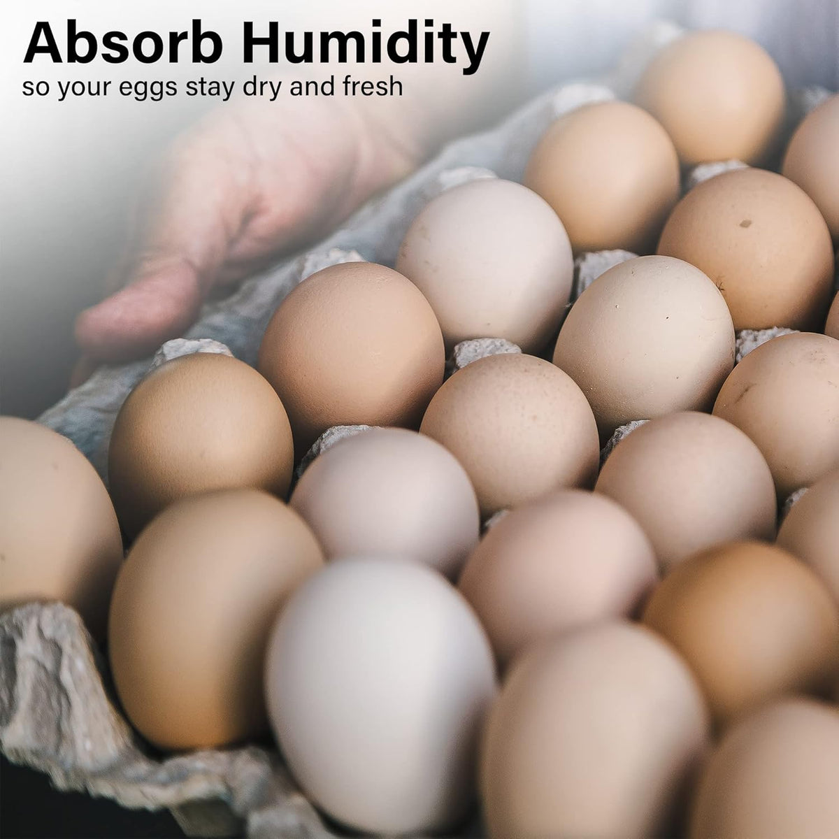 15 Pc Biodegradable Pulp Fiber Egg Cartons R879