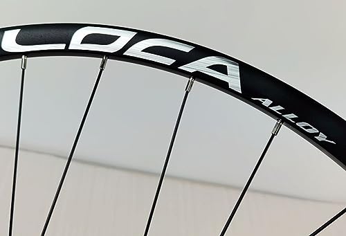 26" Mountain Bike Wheelset Center-Locking Disc Brakes Rims Sealed Bearing Hubs Thru Axle Wheel Set D4261