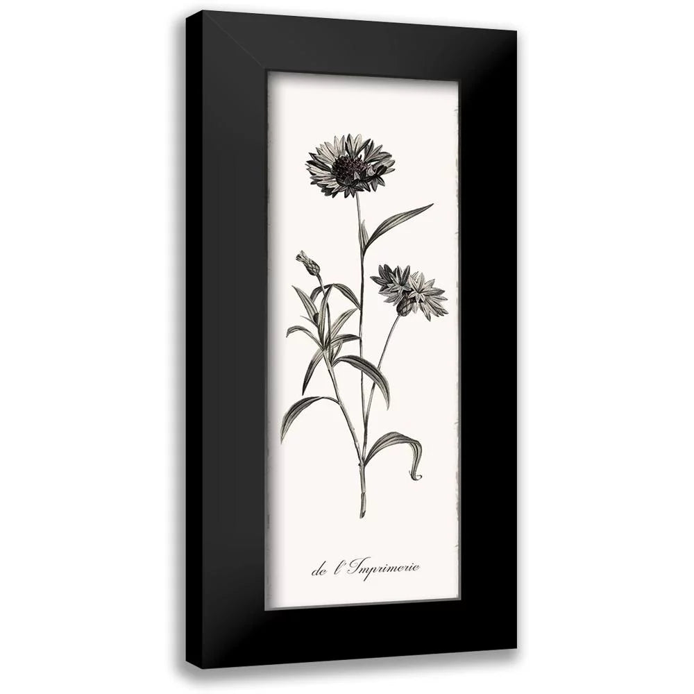 Black Modern Framed Art Print W329