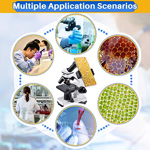 100X-2000X Compound Microscope with Slides O67645