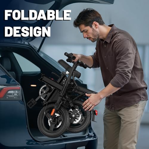 E Bike Electric Bike 500W Motor, Folding Ebike 14" 48V 10Ah Removable Battery D8102