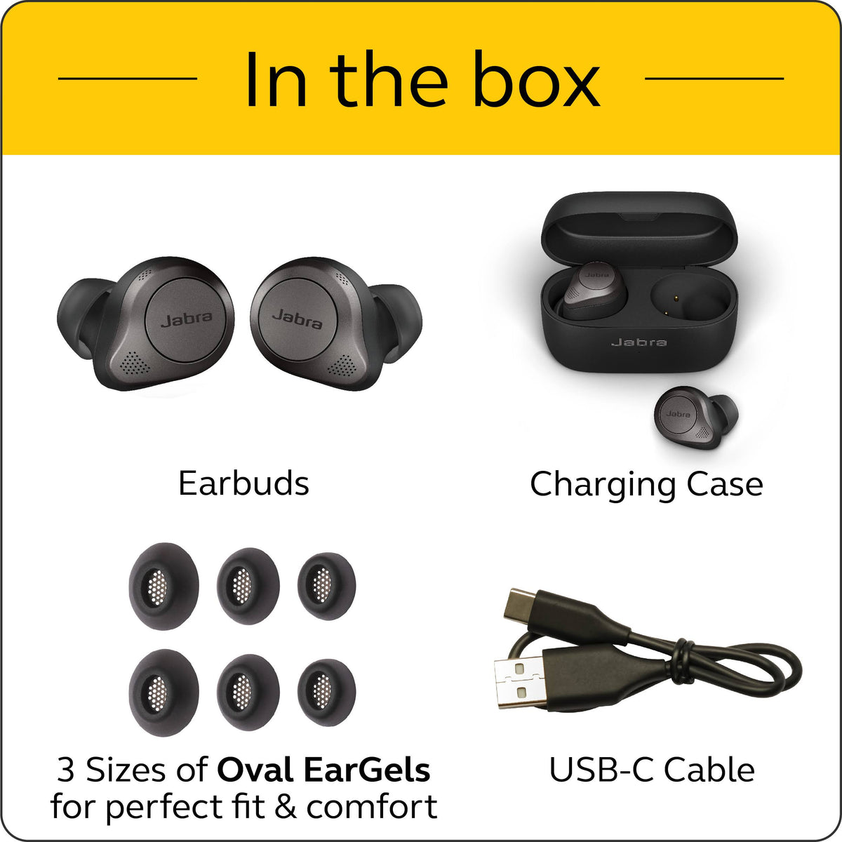 Titanium Black Bluetooth Wireless Noise-Canceling In-Ear Earphones P62277