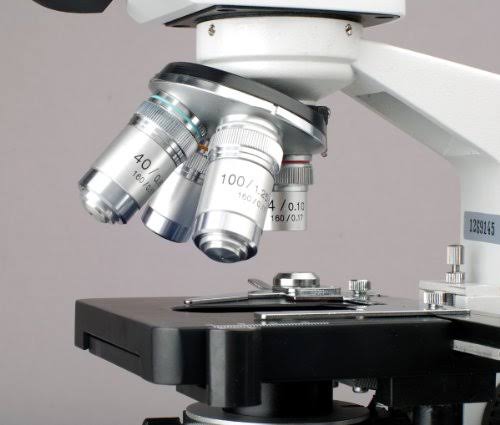 40X-2000X LED Trinocular Compound Microscope K448034