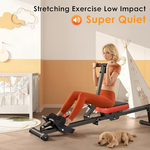 Rowing Machine with 12 Levels of Resistance H862164