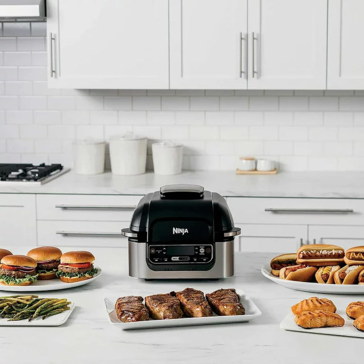 5-in-1 Indoor Grill with 4-Quart Air Fryer D7221