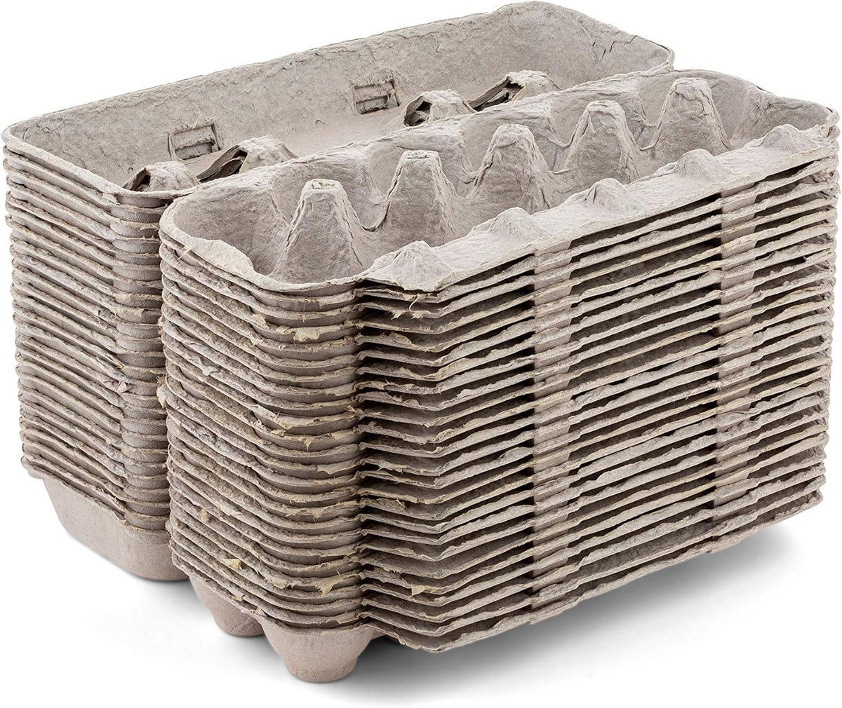 15 Pc Biodegradable Pulp Fiber Egg Cartons R879