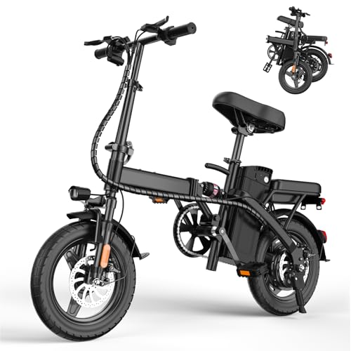 E Bike Electric Bike 500W Motor, Folding Ebike 14" 48V 10Ah Removable Battery D8102