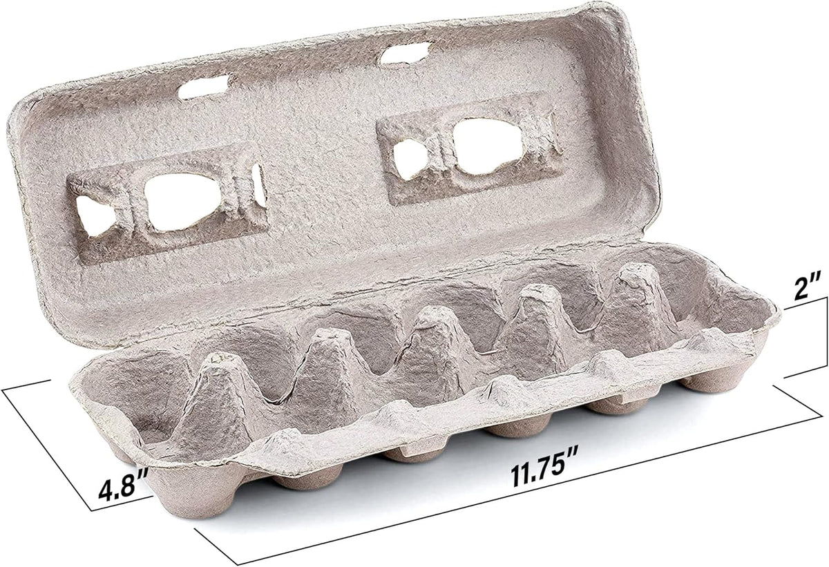 15 Pc Biodegradable Pulp Fiber Egg Cartons R879