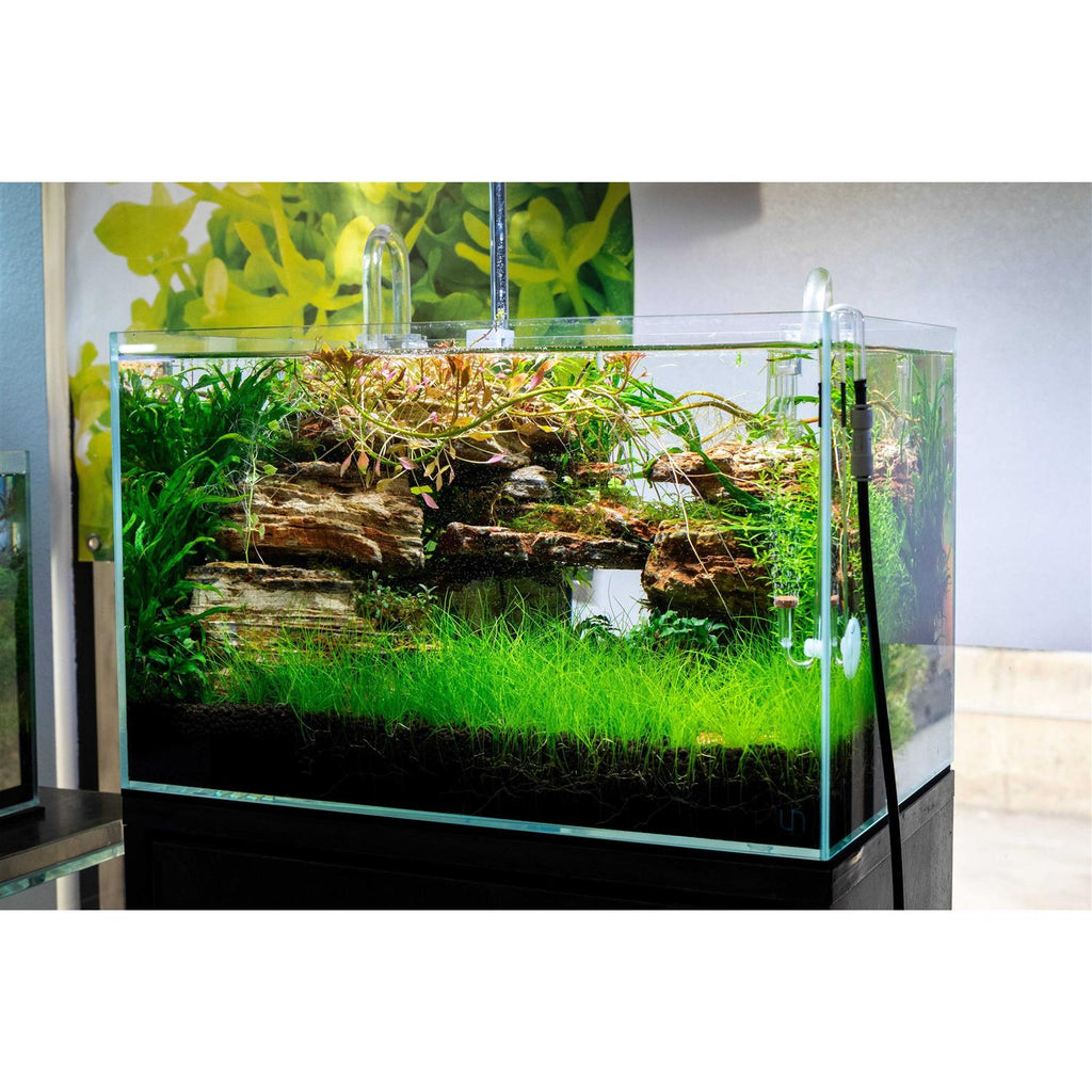 Rimless Aquarium 9 gallons D46965