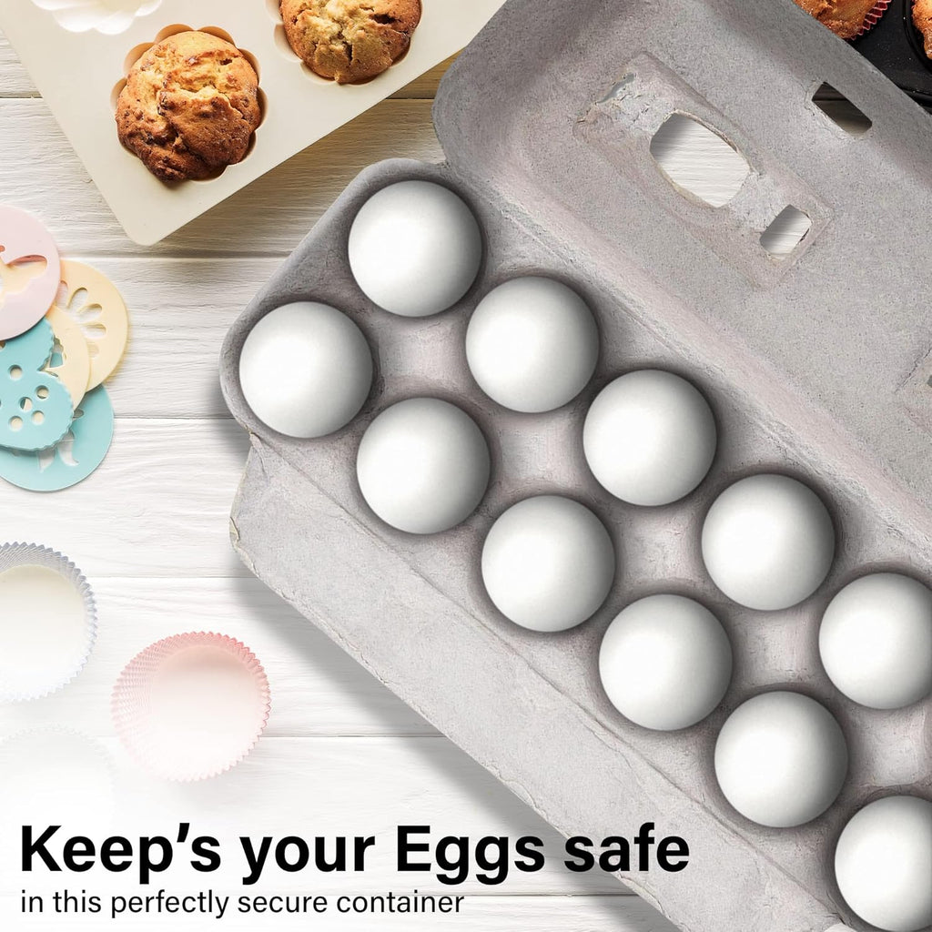 15 Pc Biodegradable Pulp Fiber Egg Cartons R879