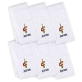 White 6-Pack Burp Cloth B341