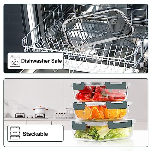 10 Pack Glass Meal Prep Containers with Lids G768