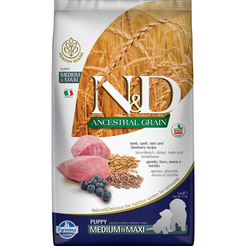 Lamb & Blueberry Puppy Dry Dog Food G9040