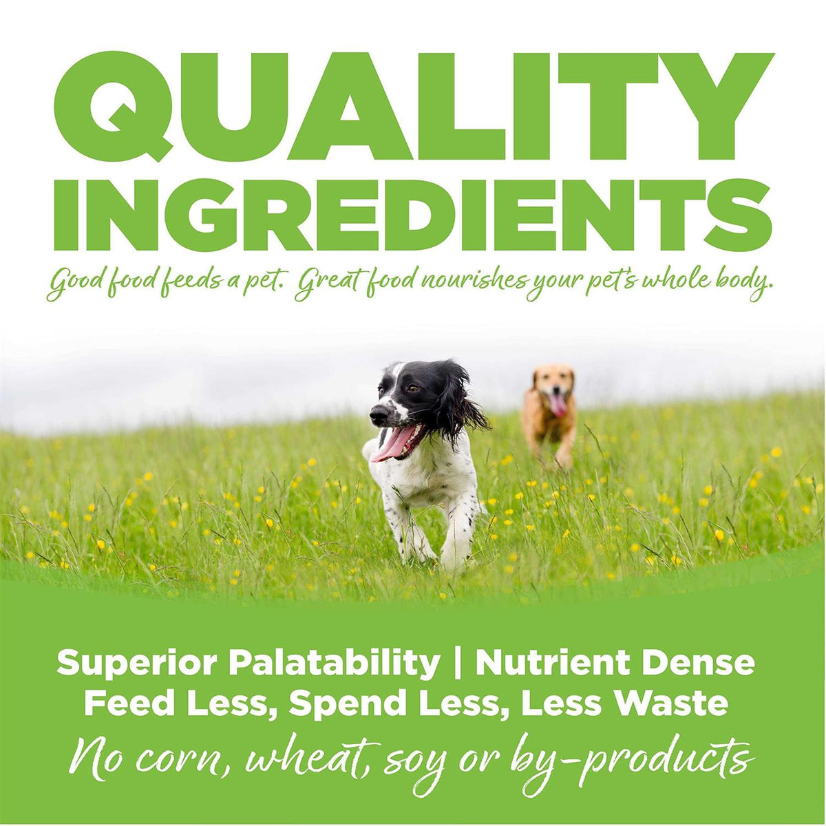 Chicken Weight Management Dry Dog Food A236848