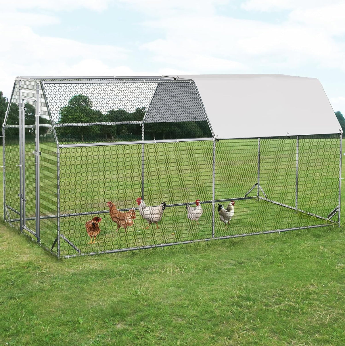 Large Metal Walk in Chicken Coop P88941