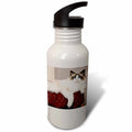 21 oz Sports Water Bottle Q6583