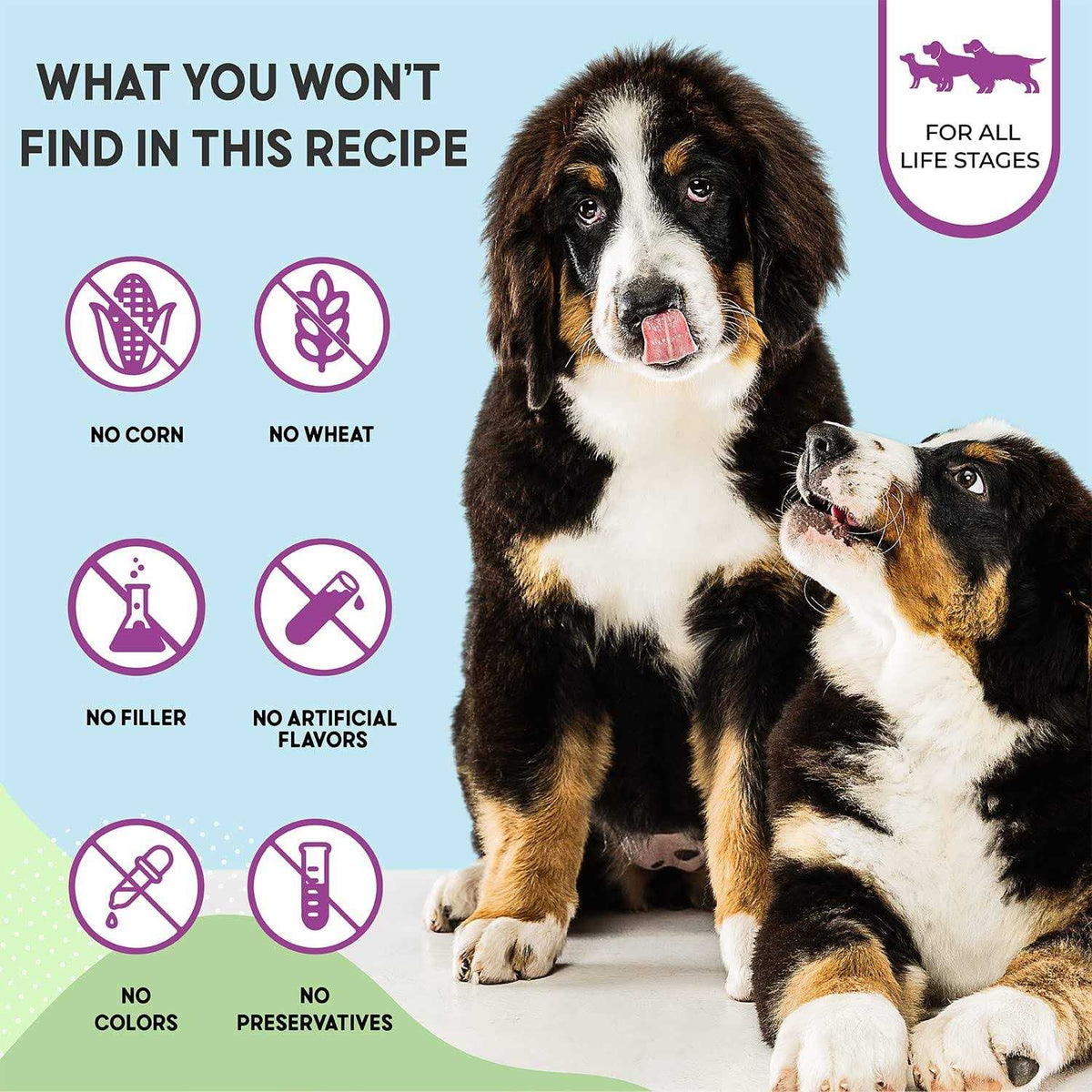 Chicken Brown Rice Dry Dog Food W15412
