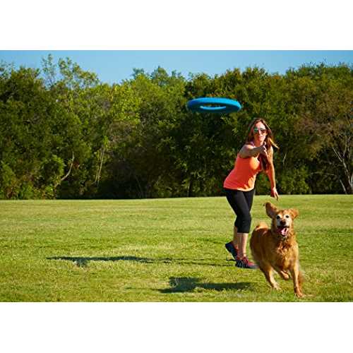 Rugged Flyer Dog Toy K998