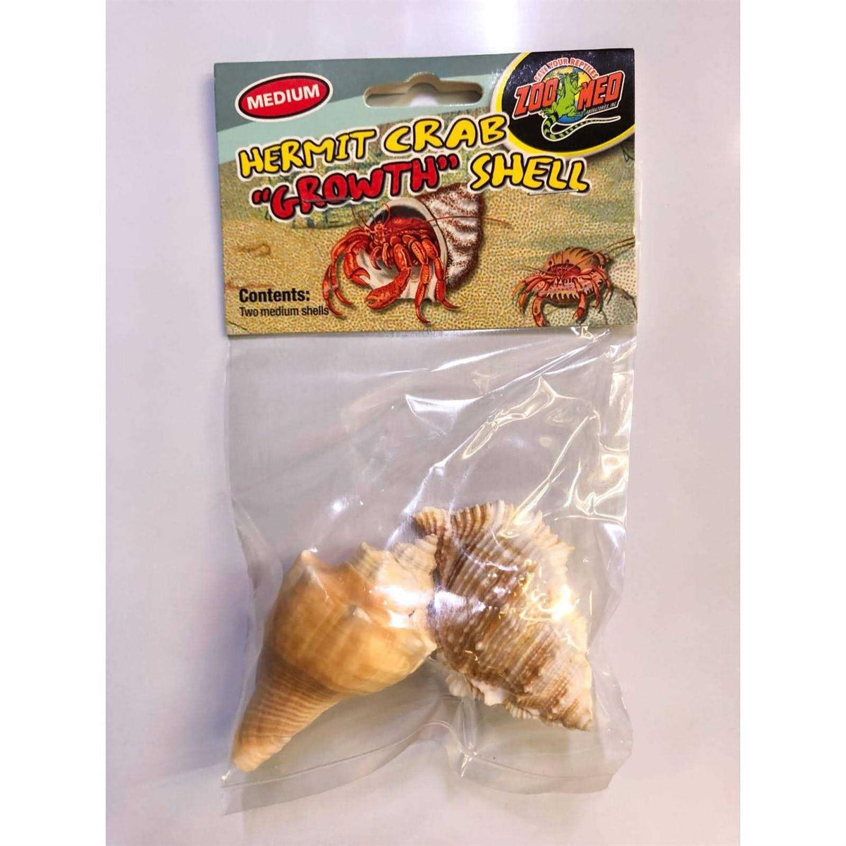 Hermit Crab Growth Shell U8958