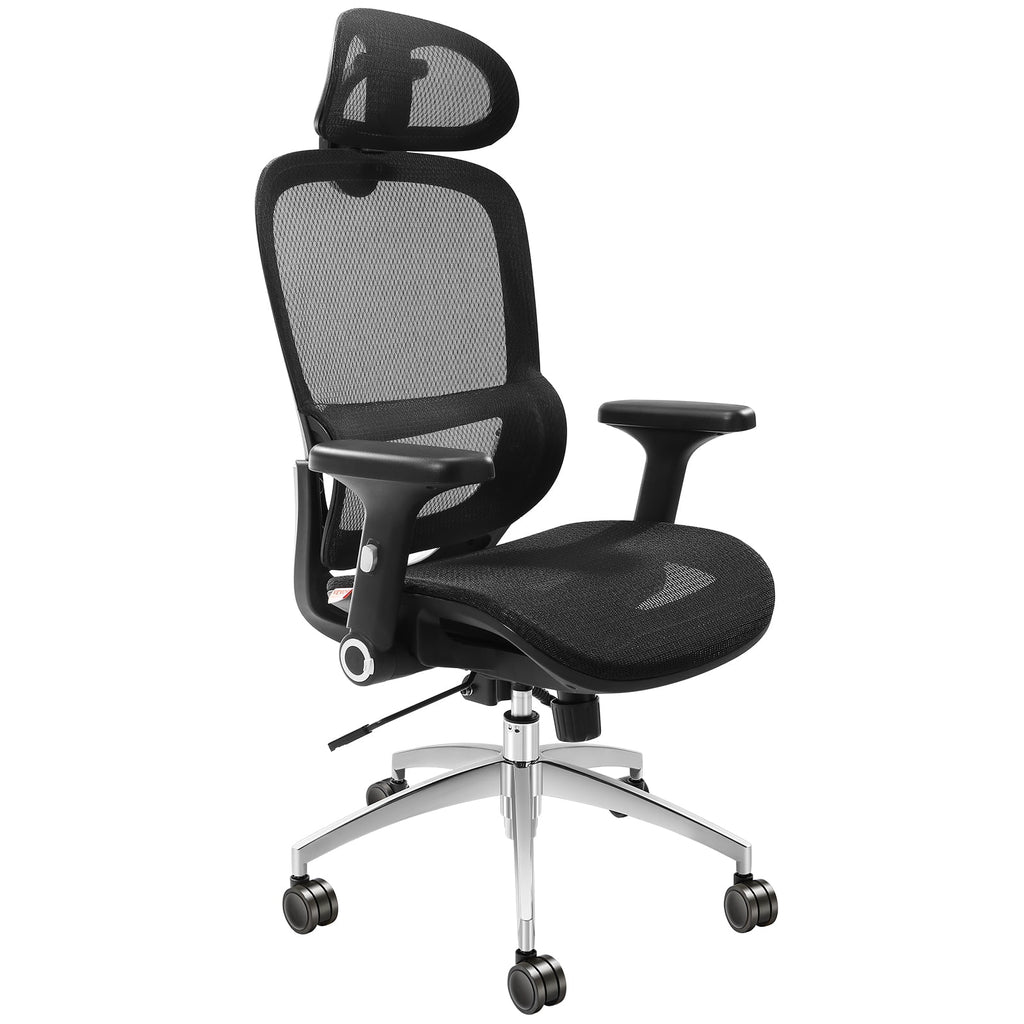 Ergonomic Mesh Office Chair with Lumbar and Head Support S510