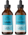 Lobelia Extract and Lemon Balm Tincture 4 fl oz 2 Pack I3757