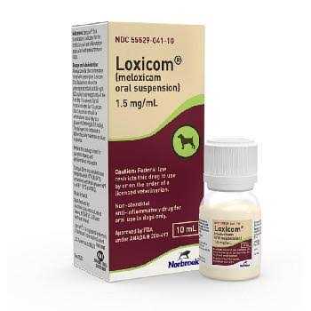 Meloxicam for Dogs T82815
