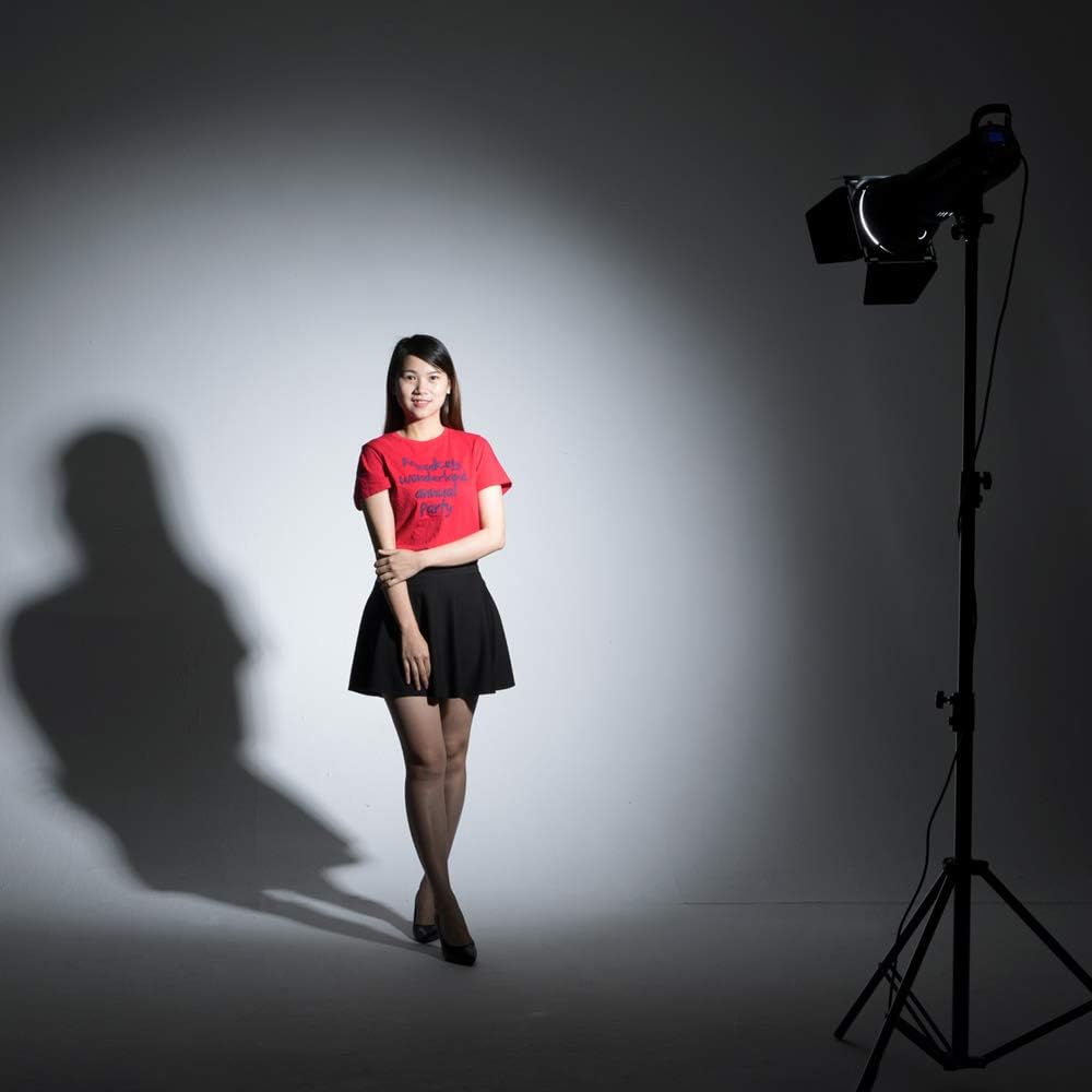 2 Pack 800Ws Photo Speedlite Studio Flash Strobe Monolight Bowens Mount Kit with Softbox, Light Stand, Barn Door Kit, Reflector C53822