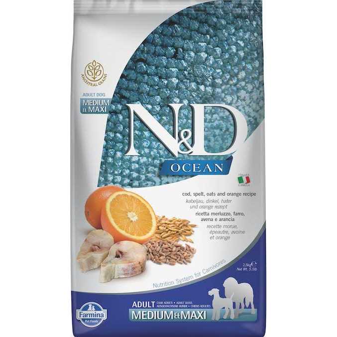 Lamb & Blueberry Puppy Dry Dog Food G9040