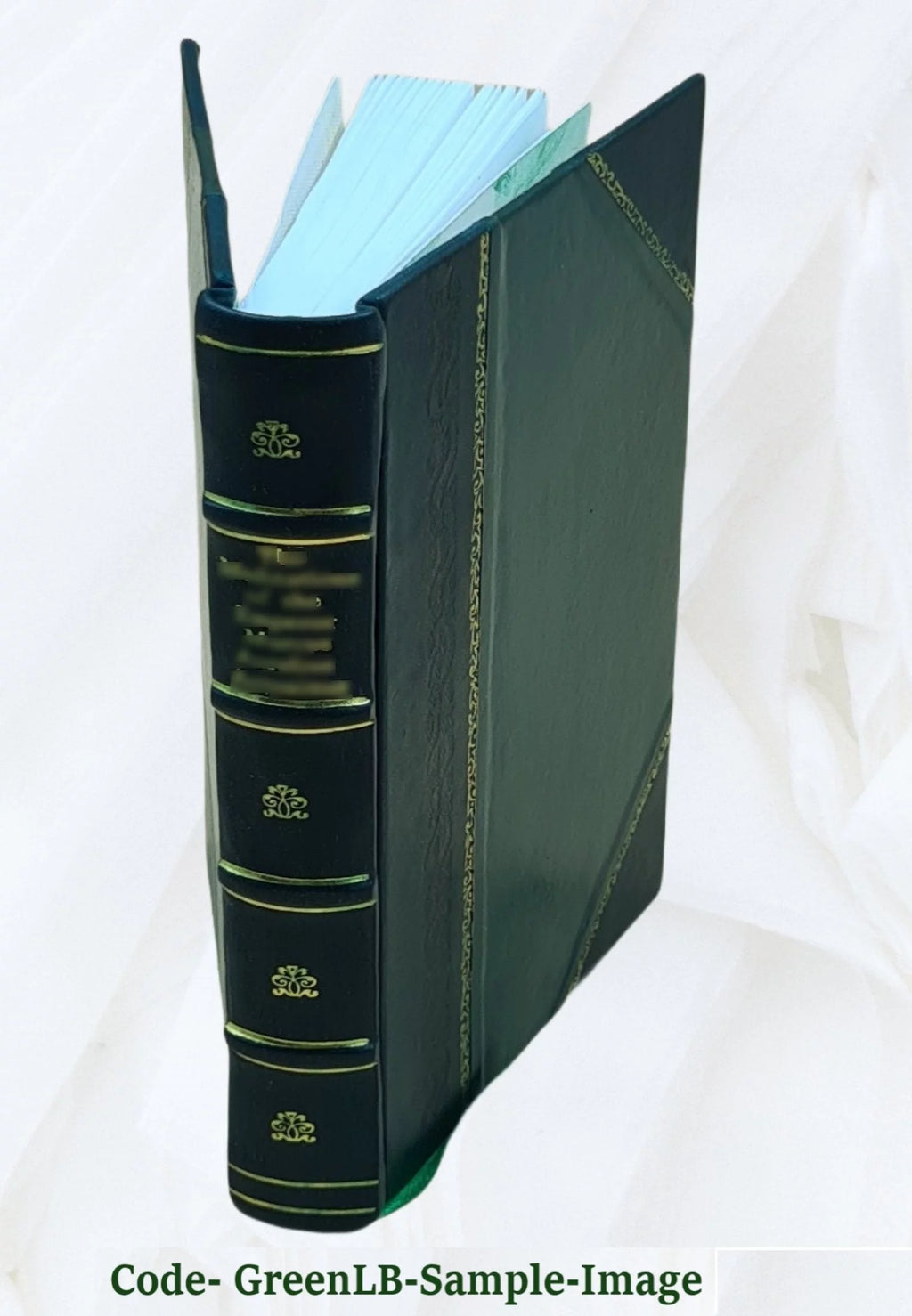 German History Leather Bound I898079