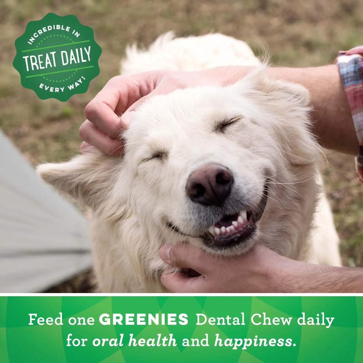 Dental Treats for Dogs 18 oz 4 Pack I6583