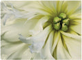 32x24 Canvas Art G166897